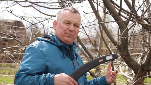 Перепрививка: Что нужно знать о том, как привить старое дерево? смотреть онлайн