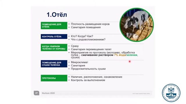 Отёл смотреть онлайн