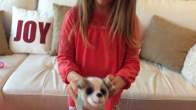 Joy Découvre Son Sweet Pups