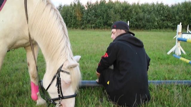 КоноVLOG || Смотрим соревнования по конкуру || Тренировка на Ами смотреть онлайн