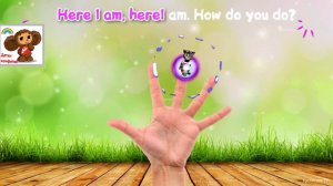 Семья пальчиков Говорящий Том Talking Tom