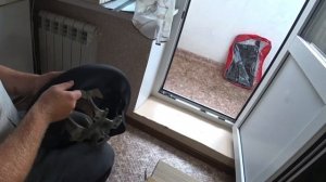 Серия #3 Range Rover Sport 2006 года. Я все еще не жалею о покупке