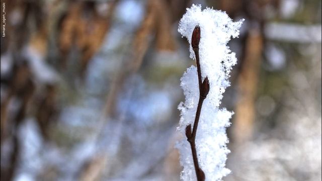 Любить иных | Вокальная миниатюра на стихи Б.Пастернака | Музыка Т.Оген смотреть онлайн