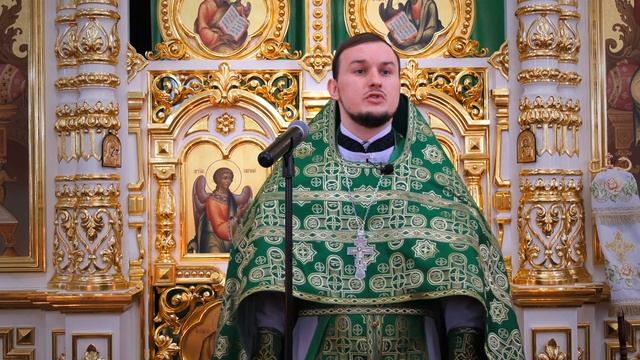 Иерей Антоний Червонный, проповедь в праздник Входа Господня в Иерусалим смотреть онлайн