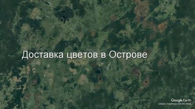 Доставка цветов в Острове - Заказ букетов от компании Скорая подарочная помощь смотреть онлайн