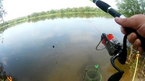 ЛЕЩ на Дону весной. Рыбалка 2021.