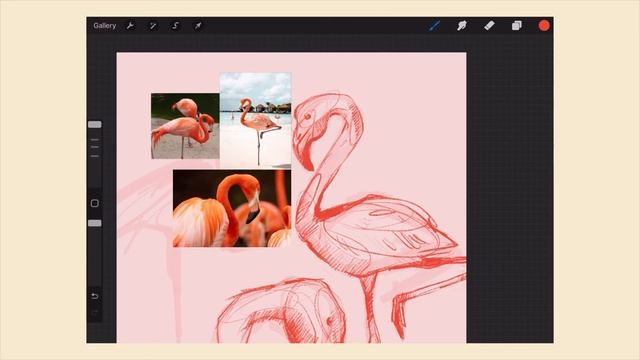 digitally sketch with me (ipad pro+procreate), flamingo ?✨ смотреть онлайн