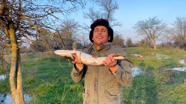 ЩУКИ ДВА ГИГАНТА ДРУГ ЗА ДРУГОМ ПОЙМАЛИ....