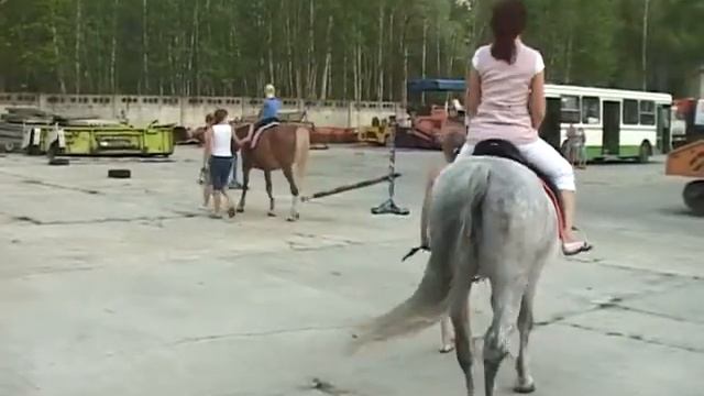 В КСК «Скиф» состоялась первая акция «Автотранса» смотреть онлайн