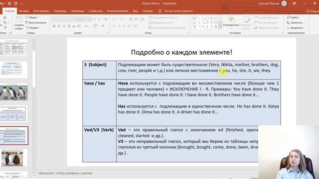 Starlight 5 кл. Present Perfect/ (начало) 3 элемента смотреть онлайн