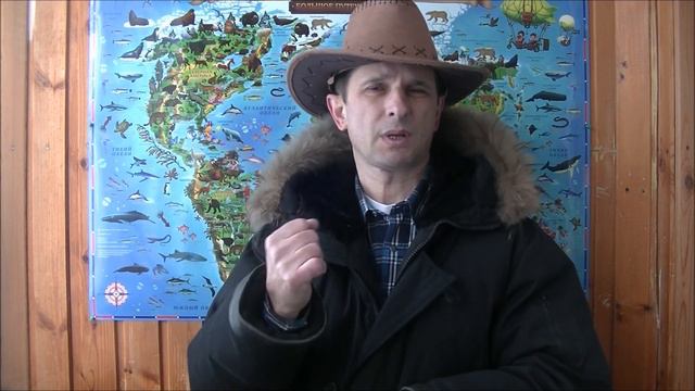 В Америке замерзли животные смотреть онлайн