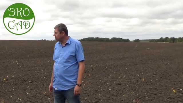 Разметка сада. смотреть онлайн