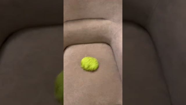 Что можно связать из одного мотка? Bottlebag! смотреть онлайн