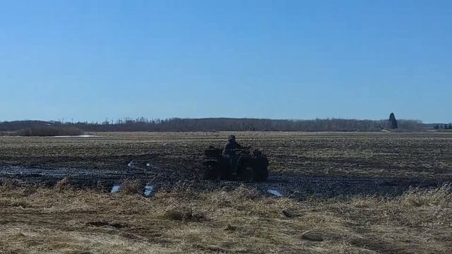 my son mudding in our field on arctic cat 650h1 смотреть онлайн