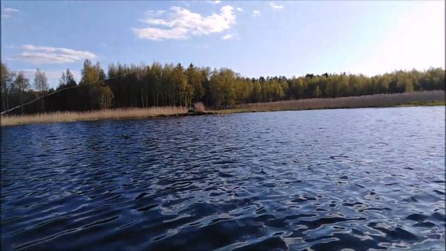 Рыбалка на озере Селигер 2020/Особенности Селигерской рыбалки в летний период/Лучшие моменты смотреть онлайн