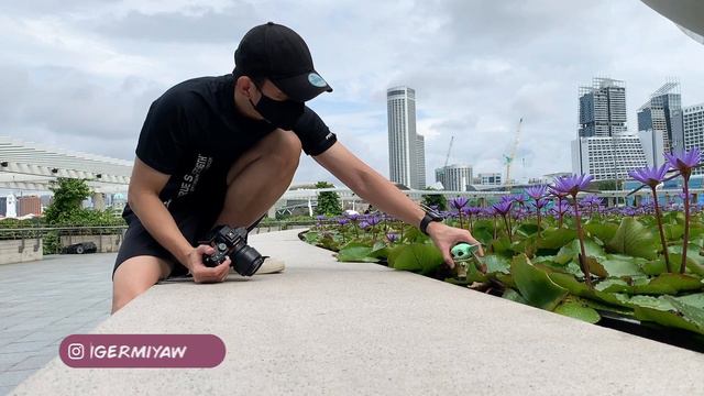 Unboxing & Review + Toy Photography - Funko Pop 368 The Child #babyyoda #funkopop #themandalorian