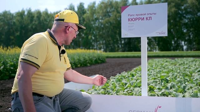 Технология возделывания рапса смотреть онлайн