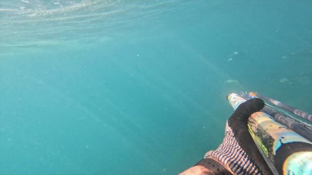 Подводная охота в море -октябрьском -Bluefish-Луфарь-3 кг=150 euro money ! Sea seafood free - fish смотреть онлайн