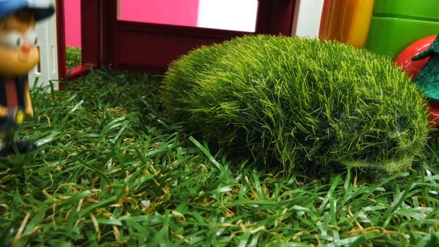 Гравити Фолз: Мейбл - королева гномов?! Видео про игрушки для девочек и мальчиков смотреть онлайн