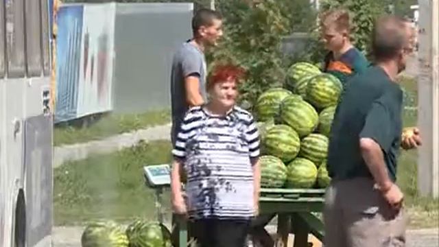 Арбузы и дыни в Вологде не содержат нитратов, но продаются в незаконных точках смотреть онлайн
