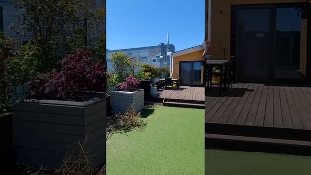 Аренда двухуровневой квартиры со своей террасой и зоной bbq? в самом центре Одессы ? смотреть онлайн