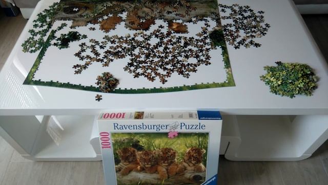 Ravensburger puzzle 1000 - Wild cats ( Time lapse ) смотреть онлайн