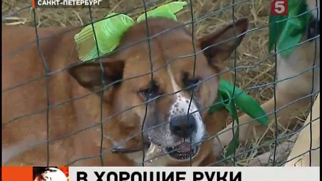 В хорошие руки смотреть онлайн