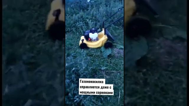 Газонокосилка NP 130 срезает даже мощные сорняки . Работает на неровной поверхности . #inshorts смотреть онлайн