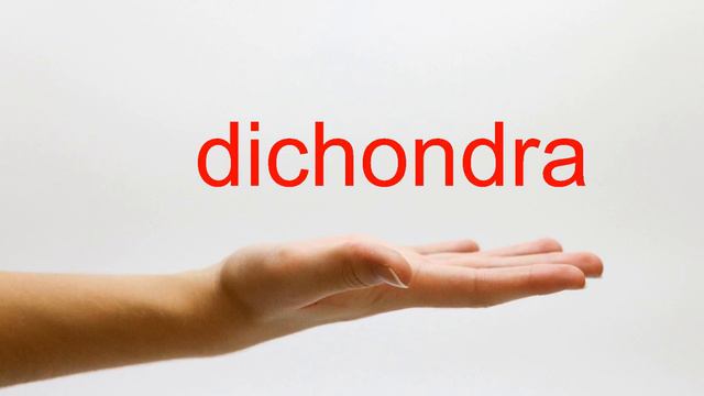 How to Pronounce dichondra - American English смотреть онлайн