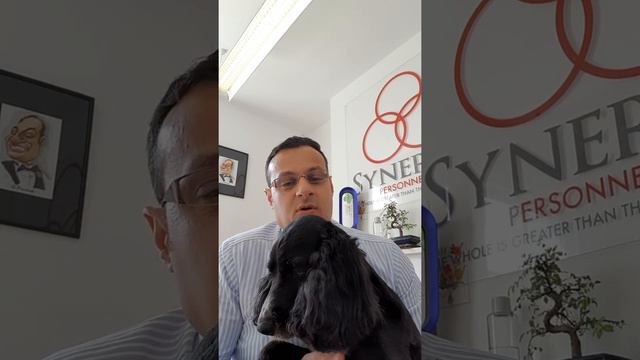How early should I arrive to an interview? смотреть онлайн