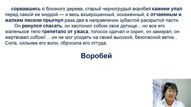 И С Тургенев Рассказ 7 класс для школ с казахским языком обучения смотреть онлайн