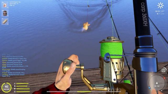 🎣Russian Fishing 4 RF4 - The Amber Lake Active Carp Spot With Salmon Spicy#263 смотреть онлайн