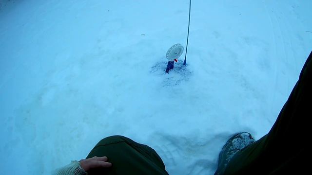 Весенняя ловля щуки на жерлицы!!! смотреть онлайн