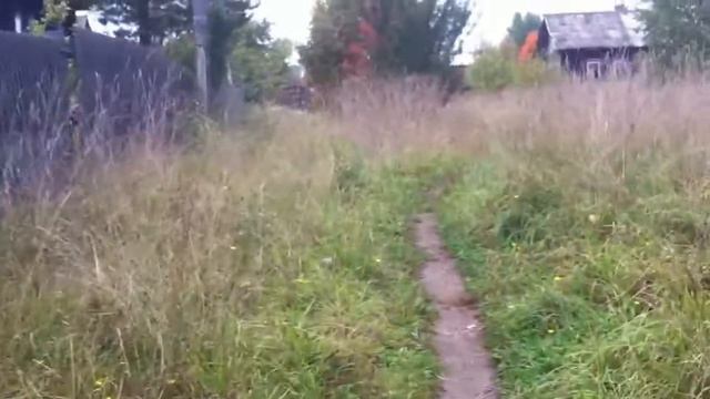 Копия видео Якшанга, прогулка смотреть онлайн