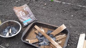 Белокрылка   и борьба с ней.Как избавиться от белокрылки в теплице.