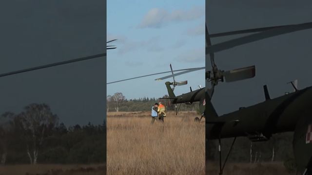 Dutch CH47 and NH90 helicopters arrive at FARP #military #usmilitary #shortvideo смотреть онлайн