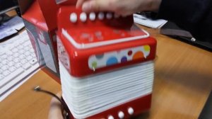 Аккордеон музыкальный инструмент для детей от 3-8 лет из дерева Janod  j07620