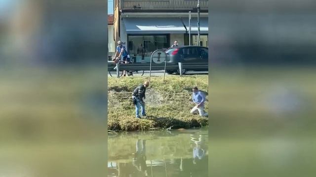 Спасение маленького Бэмби из реки в Италии смотреть онлайн