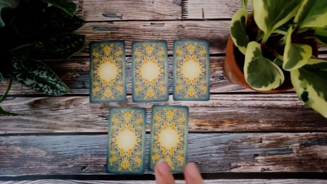 Our first Oracle Deck - Fez Inkwright reveals -The Seed and Sickle! смотреть онлайн