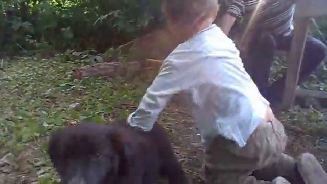 Малыш против Щенка. (Kid Vs Beast).mp4 смотреть онлайн