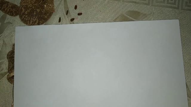 Həndəsənin Əsas Anlayışları. смотреть онлайн