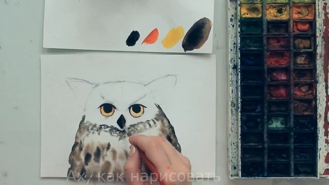 сова акварелью смотреть онлайн