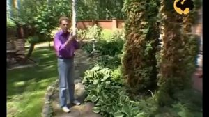 Сад после зимы  Ландшафтные хитрости 10