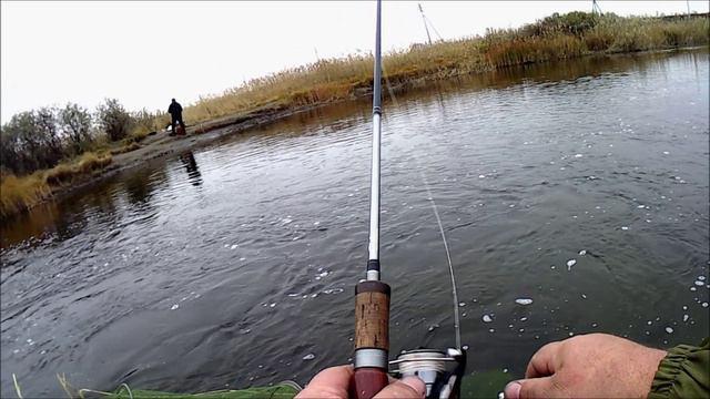 Ручей на Турпаньем озере.