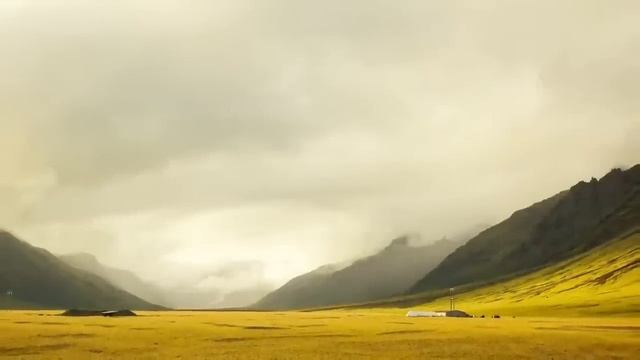 Охранник вцепился в бедно одетую школьницу, а когда приехал хозяин... смотреть онлайн