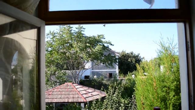 Ласточки у моего окна (гнездо) смотреть онлайн