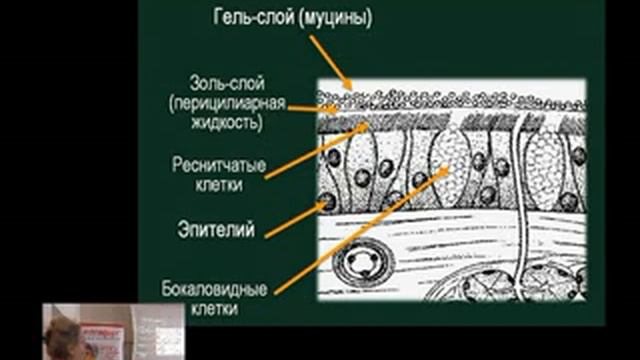 Что нового в лечении бронхообструктивного синдрома смотреть онлайн
