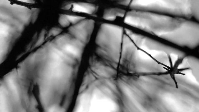 Dunwich - Frame #01 смотреть онлайн