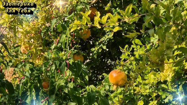 19 сентября великий праздник архангела Михаила. Это категорически запрещено делать, иначе быть беде смотреть онлайн