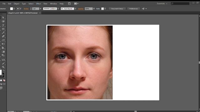 Illustrator 1/25-1/31 part 1 смотреть онлайн